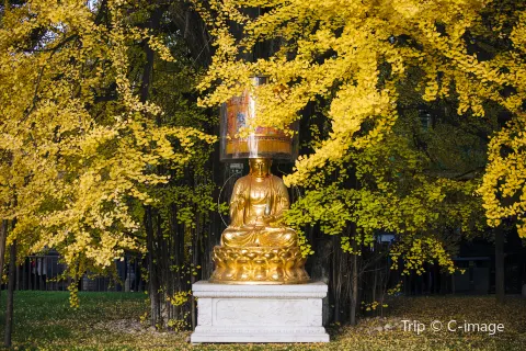 Ancient Guanyin Zen Temple