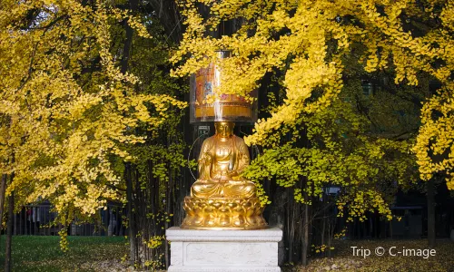Ancient Guanyin Zen Temple