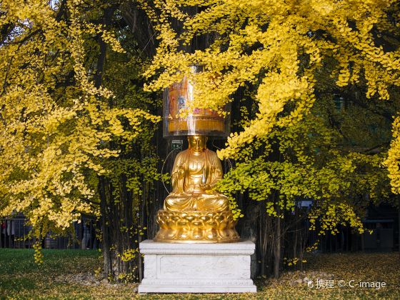 Guguanyinchan Temple