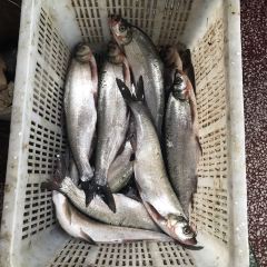 外婆小灶(乌镇店) ảnh của người dùng
