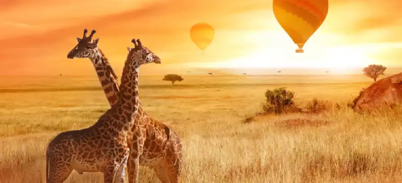 Hotels With Airport Shuttle in Tanzania