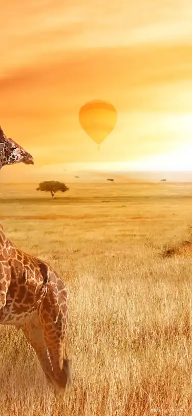 タンザニアの朝食のあるホテル