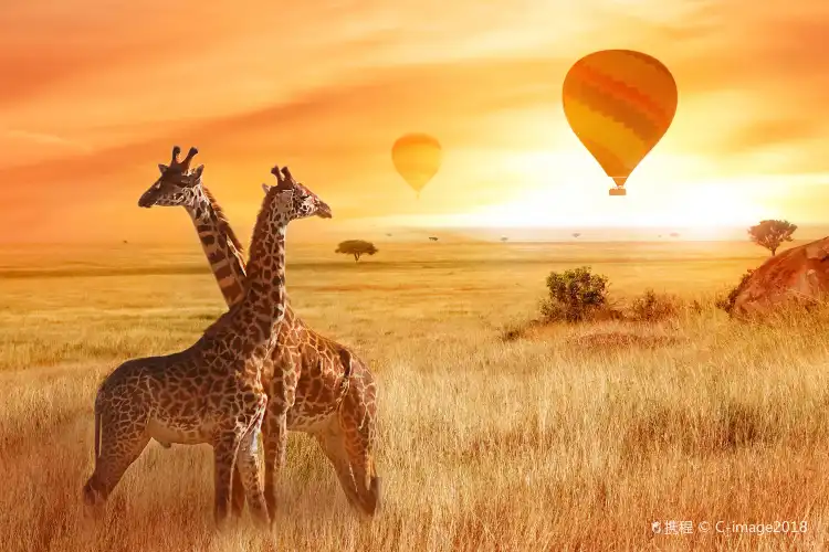 タンザニアのバーのあるホテル