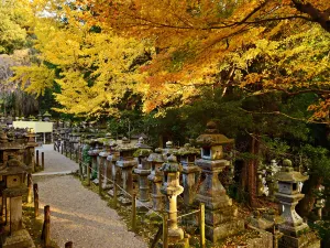 Kasuga-Taisha