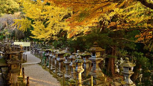 Kasuga Taisha