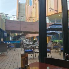 Blue Frog (Aqua City) User Photo