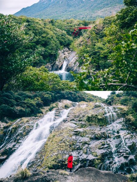 鹿児島発屋久島行き格安航空券