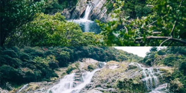 屋久島町旅行ガイド2026年：観光スポット、グルメ、ホテル、旅行プラン