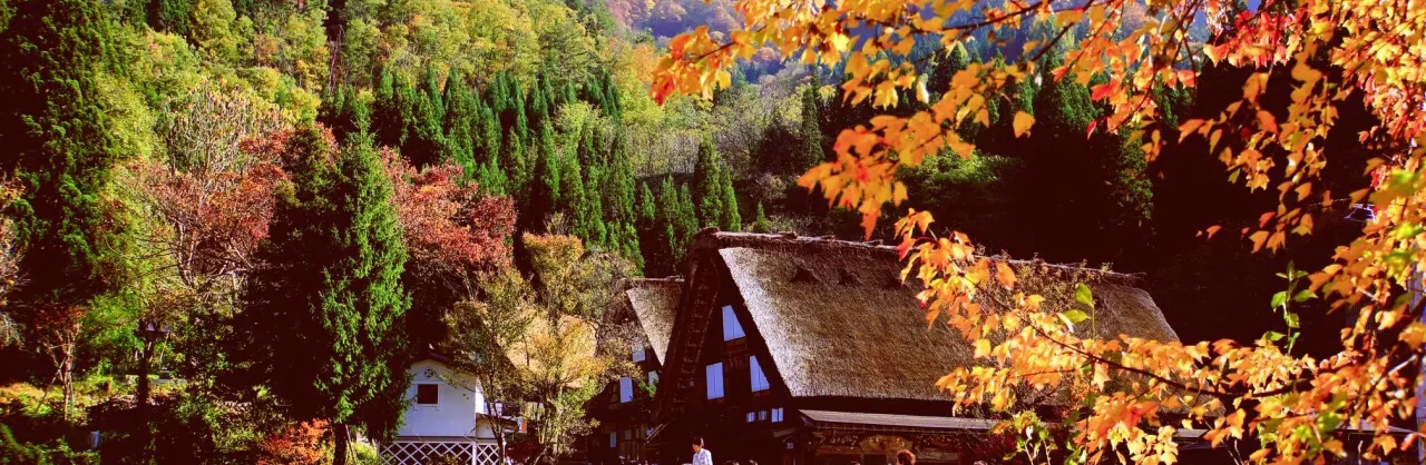 Fall Viewing Attractions