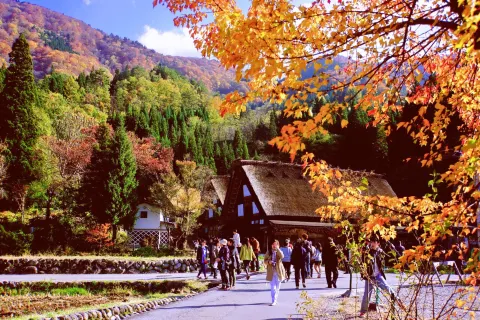 Historische Dörfer von Shirakawa-gō und Gokayama