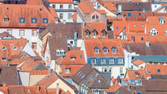 Francoforte, Germania: Castello di Heidelberg + Cattedrale dello Spirito Santo + Viale dei Tordi + Renania-Palatinato