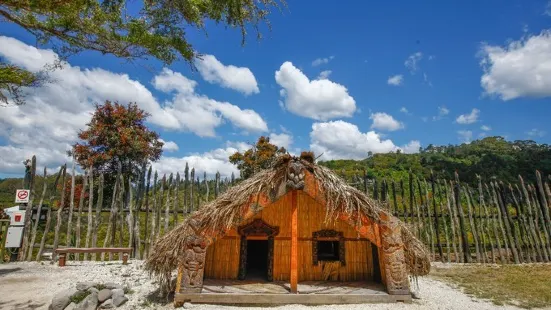 Te Puia - Rotorua, NZ