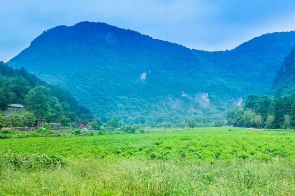 Dahong Mountain Scenic Spot