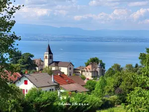 Funiculaire Evian - Neuvecelle