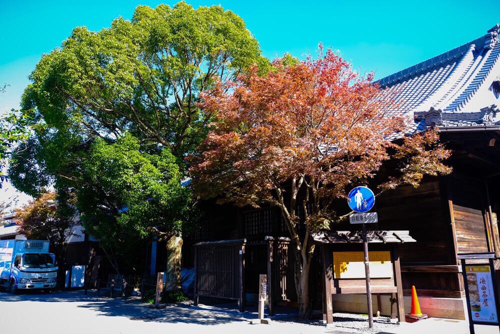 2025 Ise Travel Guide: Must-see attractions, popular food, hotels, transportation routes (updated in June)