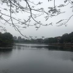 人人小食店張用戶圖片