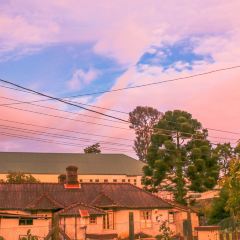 Grand Thai User Photo