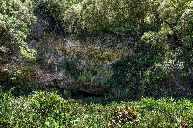Wailua River State Park