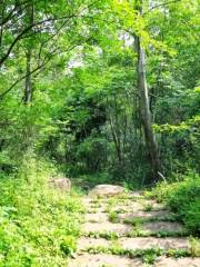 Ancient Shu Road before Qin Dynasty