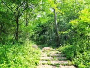 Ancient Shu Road before Qin Dynasty