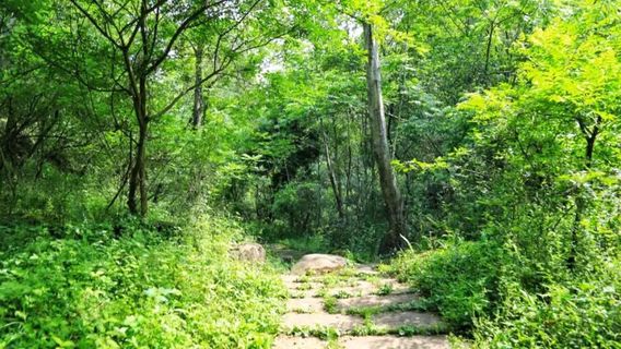 Ancient Shu Road before Qin Dynasty