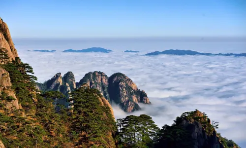 Huangshan Scenic Area