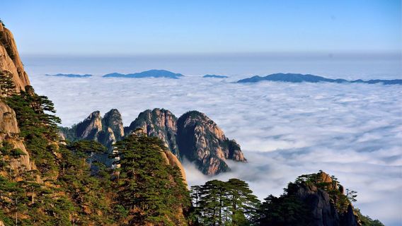 Huangshan Scenic Area