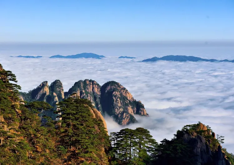 【黃山風景區自由行】2天1夜黃山風景區旅遊這樣玩,行程規劃懶人包全面看!
