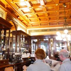 Demel張用戶圖片