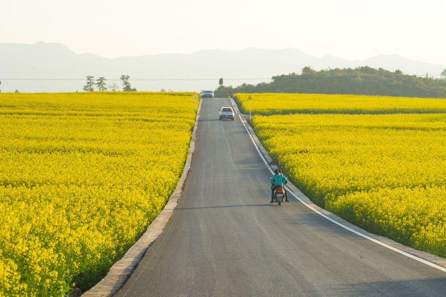 Luoping Embankment