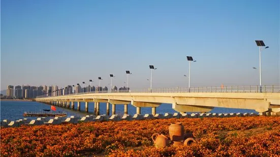 海陽連理島