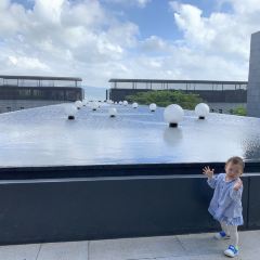 Dinning Room User Photo