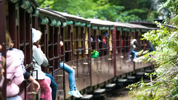 [Special Offer from November 11th to 14th] Melbourne Puffing Billy Steam Train + Phillip Island Day Trip