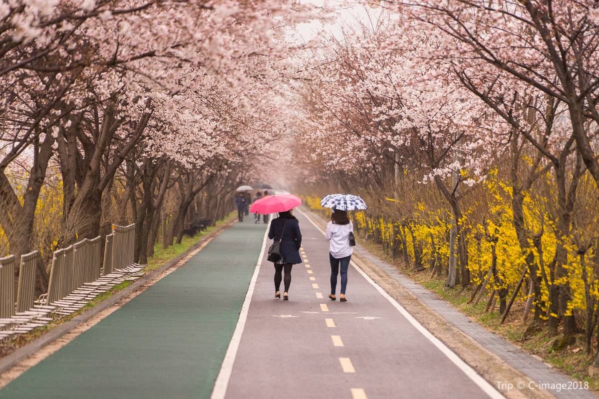 Yeouido