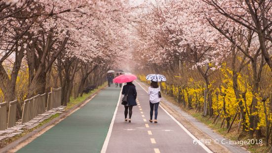 Yeouidong Avenue