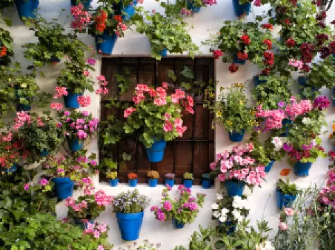 ตรอกดอกไม้ กอร์โดบา