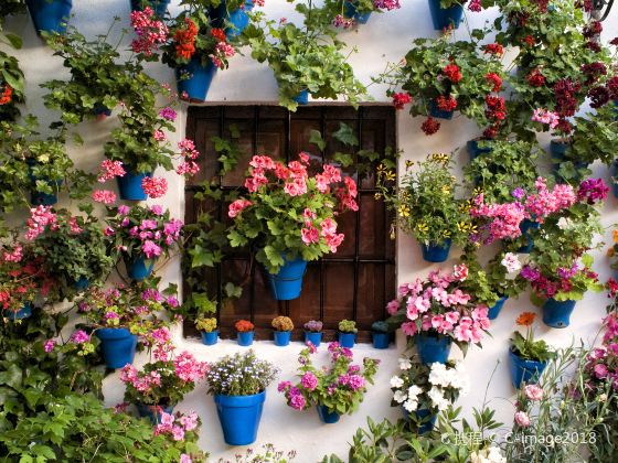 Calleja de las Flores