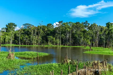 Rio delle Amazzoni