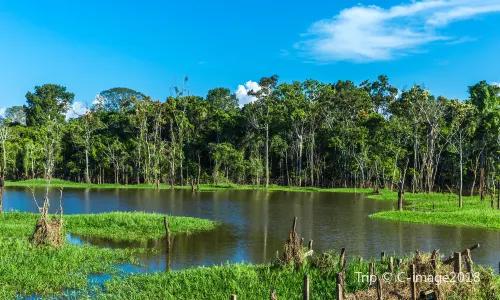 Amazon River