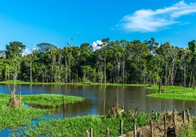 Amazonas