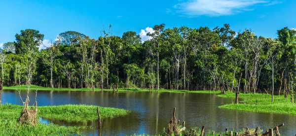 Homestays in Amazonas, Brazil