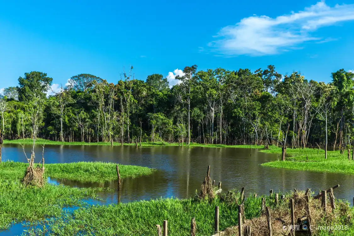 Hotels near Amazon River