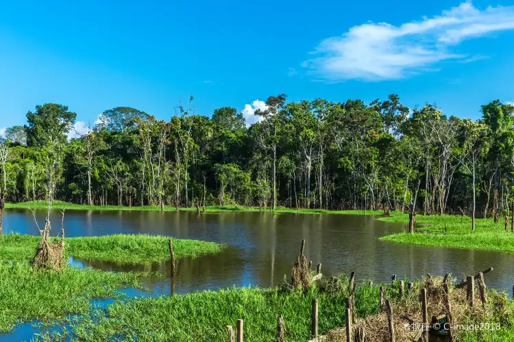 Hotels near Amazon River