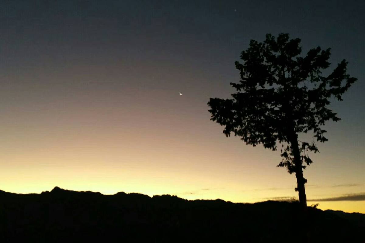 嘉義縣阿里山隙頂雲海所見日出。圖片來源：Trip.com