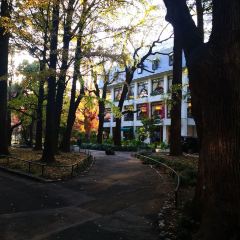 Hibiya Matsumotoro User Photo