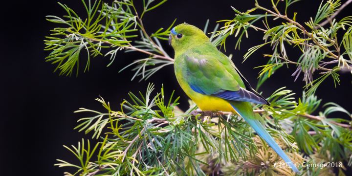 Adelaide Zoo