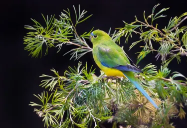 Adelaide Zoo