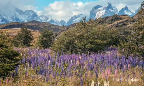 Torres del Paine National Park