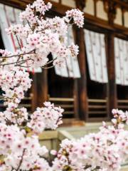 Kyoto Imperial Palace