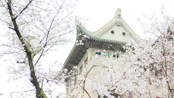 武漢日遊